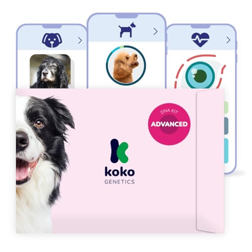 Koko Genetics - DNA-Test für Hunde Advanced (+175 Berichte über Rassen, Gesundheit und Eigenschaften) - Upgrades kostenlos von Koko Genetics