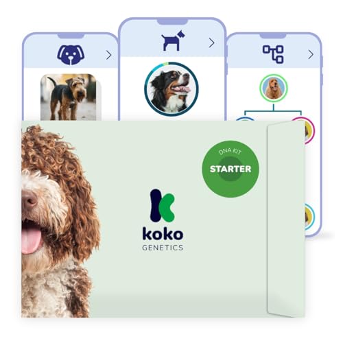 Koko Genetics - DNA-Test für Hunde Starter (Rassen und Eigenschaften) - Upgrades kostenlos von Koko Genetics