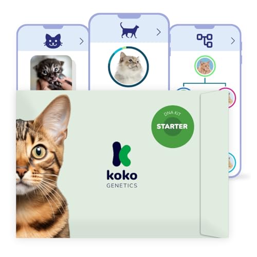 Koko Genetics DNA-Test für Katzen Starter - (Rassen- und Eigenschaften) - Upgrades kostenlos von Koko Genetics