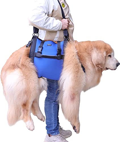 Hundehebegeschirr für große Hunde, Ganzkörper-Hundetragetasche mit Griff, zur Unterstützung der Hinterbeine/Gelenkverletzungen/Arthritis von Hunden (Blau, XL) von Kokoie