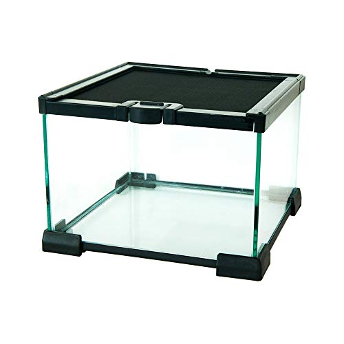 KOMODO Nano Terrarium, Größe M/L/XL von KOMODO