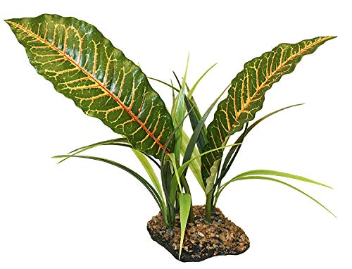 Komodo 45986 Tropical Canopy Komodo 45986 Tropical Canopy von Komodo