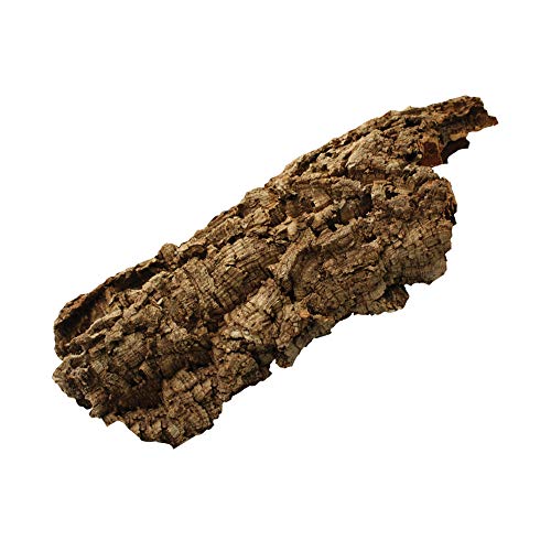 Komodo Habitat Bark, XL von Komodo