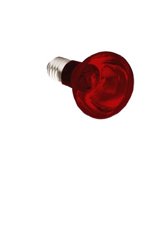 Komodo Infrarot-Wärmelampe ES, 75 Watt Komodo Infrarot-Wärmelampe ES, 75 Watt von Komodo