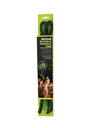 Komodo Natürliche Tropische Rebe, groß, 1,8 m x 20 mm, Grün von Komodo