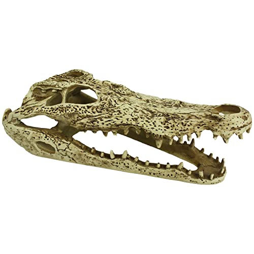 Komodo Reptilien-Terrarium, realistischer Alligator-Totenkopf, Ornament, leicht zu reinigen, unter Wasser, Aquarium oder Trockenhaus, Dekoration, Zubehör, 22,9 cm von Komodo