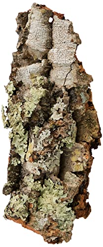 Komodo Rindenstück für Terrarien, klein Komodo Rindenstück für Terrarien, klein von Komodo