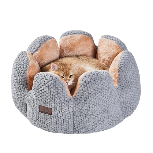 Komsuelo Katzenbetten für Indoor-Katzen für kleine Hunde, waschbares, rundes Haustierbett mit rutschfester Unterseite, 58 cm, Blütenblatt-Design, Betten mit flauschigem, ultraweichem Kissen, Grün Komsuelo Katzenbetten für Indoor-Katzen für kleine Hunde, waschbares, rundes Haustierbett mit rutschfester Unterseite, 58 cm, Blütenblatt-Design, Betten mit flauschigem, ultraweichem Kissen, Grün von Komsuelo