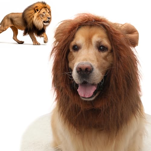 Lion Mane for Dog - Dog Lion Mane, Lion Mane Costume for Dog, Dog Lion Mane Costume, Realistic Lion Mane Wig, Lion Mane for Dog Costumes, Lion Mane Dog Collar, Adjustable Dog Lion Mane (Dark Brown) von Konenbra
