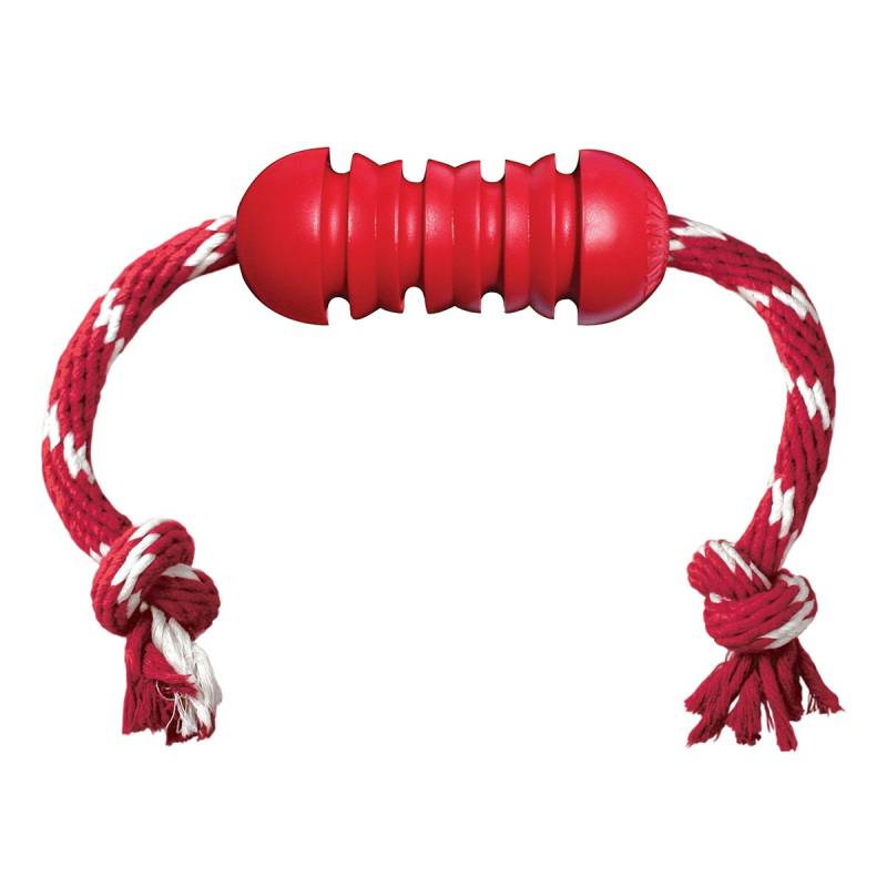 KONG Dental mit Seil M von Kong