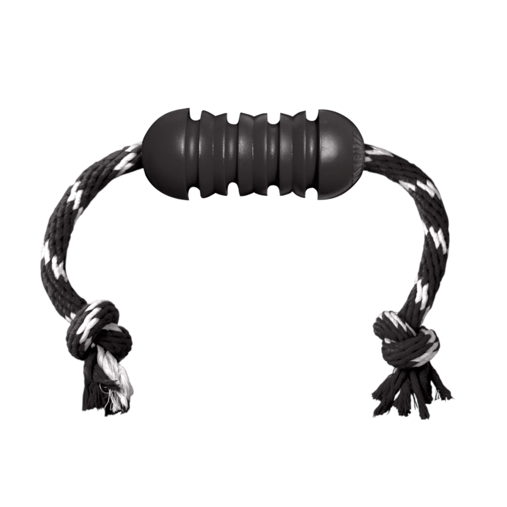 KONG Extreme Dental Hundespielzeug mit Seil - Größe M: ca. L 46 x Ø 5 cm KONG Extreme Dental Hundespielzeug mit Seil - Größe M: ca. L 46 x Ø 5 cm von Kong