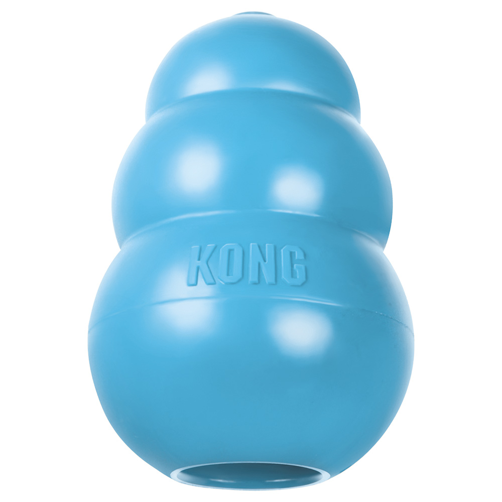 KONG Welpenspielzeug - L, blau von Kong