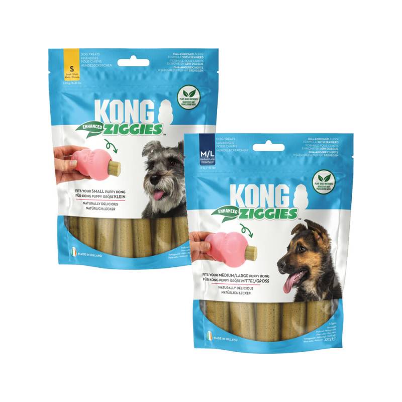 KONG Ziggies Enhanced Puppy - M/L - 5 Stück von Kong