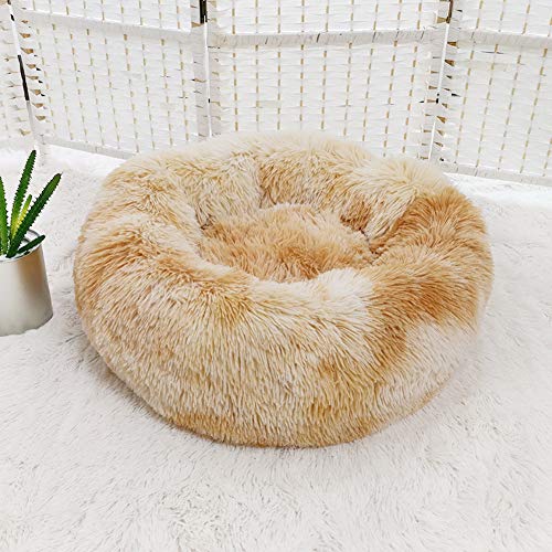 Hundebett Katzensofa Katze Schlafen Bett,Haustierbett Atmungsaktiv Flauschiges Hundekissen für kleine,Mittelgroße und Große Hunde Katzen warmes Welpenbett-XL:80cm-gelb von KongEU