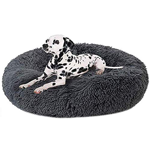 KongEU Gemütlich Hundebett für große Hunde,weich und warm,groß,Rundes Hundekissen mit kuscheligem Plüsch,Orthopädisch und rutschfest,Hundekörbchen abwaschbar-M-70CM-Dunkelgrau KongEU Gemütlich Hundebett für große Hunde,weich und warm,groß,Rundes Hundekissen mit kuscheligem Plüsch,Orthopädisch und rutschfest,Hundekörbchen abwaschbar-M-70CM-Dunkelgrau von KongEU