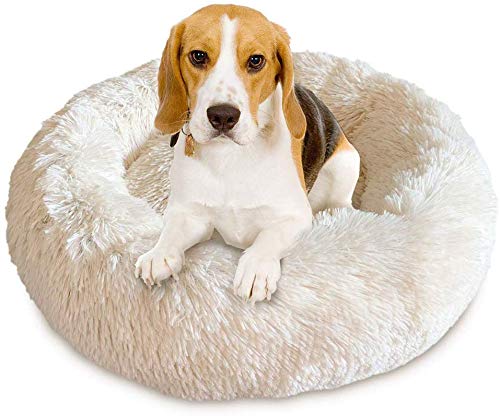 KongEU Gemütlich Hundebett für große Hunde,weich und warm,groß,Rundes Hundekissen mit kuscheligem Plüsch,Orthopädisch und rutschfest,Hundekörbchen abwaschbar-XL-100CM-weiß KongEU Gemütlich Hundebett für große Hunde,weich und warm,groß,Rundes Hundekissen mit kuscheligem Plüsch,Orthopädisch und rutschfest,Hundekörbchen abwaschbar-XL-100CM-weiß von KongEU