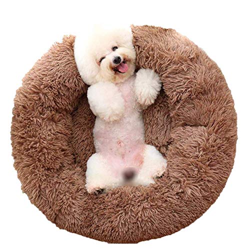 KongEU Gemütlich Hundebett für große Hunde,weich und warm,groß,Rundes Hundekissen mit kuscheligem Plüsch,Orthopädisch und rutschfest,Hundekörbchen abwaschbar-XXL-120CM-Braun KongEU Gemütlich Hundebett für große Hunde,weich und warm,groß,Rundes Hundekissen mit kuscheligem Plüsch,Orthopädisch und rutschfest,Hundekörbchen abwaschbar-XXL-120CM-Braun von KongEU