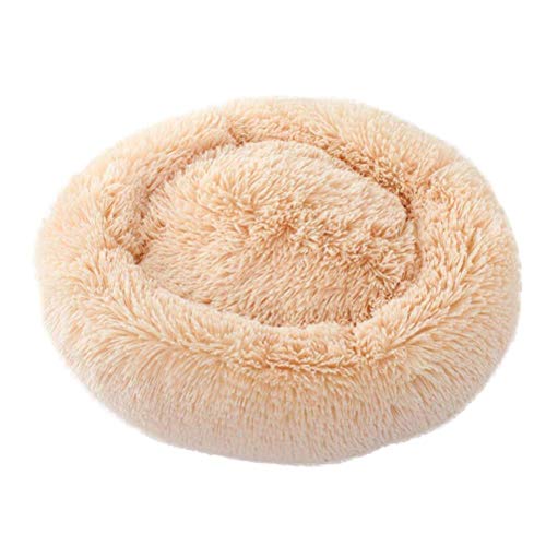 KongEU Gemütlich Hundebett für große Hunde,weich und warm,groß,Rundes Hundekissen mit kuscheligem Plüsch,Orthopädisch und rutschfest,Hundekörbchen abwaschbar-XXL-120CM-Hellgelb KongEU Gemütlich Hundebett für große Hunde,weich und warm,groß,Rundes Hundekissen mit kuscheligem Plüsch,Orthopädisch und rutschfest,Hundekörbchen abwaschbar-XXL-120CM-Hellgelb von KongEU