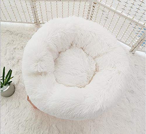 KongEU Hundebett,Katzenbett,Haustierbett für Katze und Hunde,Gemütlich für Verbesserten Schlaf- Hundekorb mit Hundekissen für Hund Hündchen Welpen Katze Kätzchen-M:60x60x20cm-Weiß von KongEU