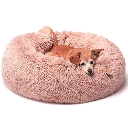 KongEU Rundes Ultra Weicher Plüsch Kuschelkissen für Welpen,Katze,weiches Hundesofa,Kuschel-Nest,Bett für kleine und mittelgroße Hunde und Katzen,waschbar-S:50CM-Rose KongEU Rundes Ultra Weicher Plüsch Kuschelkissen für Welpen,Katze,weiches Hundesofa,Kuschel-Nest,Bett für kleine und mittelgroße Hunde und Katzen,waschbar-S:50CM-Rose von KongEU