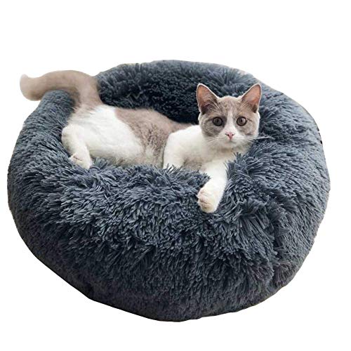 KongEU Rundes Ultra Weicher Plüsch Kuschelkissen für Welpen,Katze,weiches Hundesofa,Kuschel-Nest,Bett für kleine und mittelgroße Hunde und Katzen,waschbar-S:50CM-dunkelgrau KongEU Rundes Ultra Weicher Plüsch Kuschelkissen für Welpen,Katze,weiches Hundesofa,Kuschel-Nest,Bett für kleine und mittelgroße Hunde und Katzen,waschbar-S:50CM-dunkelgrau von KongEU
