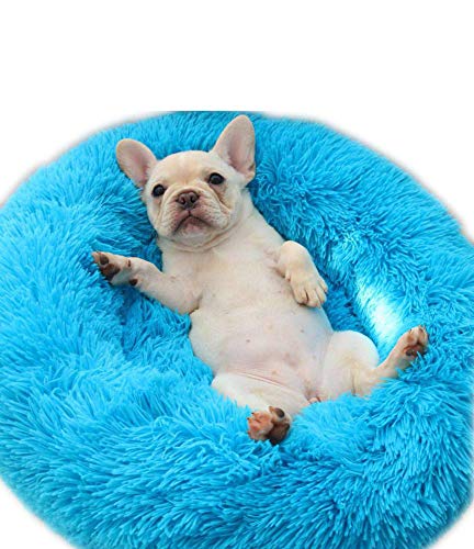 Zotteliges Hundebett / Sofa, abnehmbar, Donut-Design, kuschelig, weich, rund, mit rutschfester wasserdichter Unterseite, Blau, 50 cm von KongEU