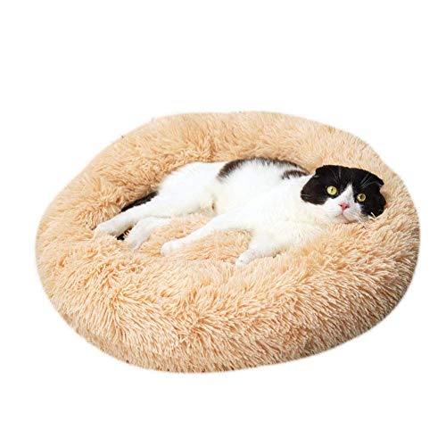 Weich Warm Hundebett Langes Plüsch Haustierbett für kleine und mittelgroße Hund Katze,Donut Form Rund Bett Waschbar Hundesofa Katzensofa-Beige-60x60cm von KongEU