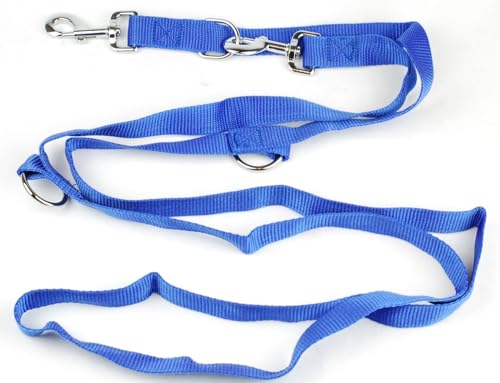 Hundeleine Doppelleine mehrfach verstellbar mit stabilen Karabinerhaken (Blau, 3M) von Kongs