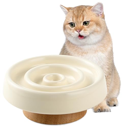 Anti Schling Napf Katze Keramik, Katzen Schlingen Katzennapf Erhöht, Einfach zu Reinigen, Anti-Erbrechen Katzennäpfe Futternapf, Slow Feeder Hund für Katzen und kleine Hunde von KoolYouth