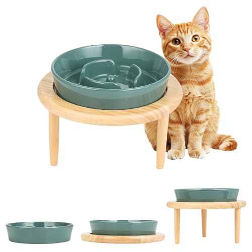 Anti Schling Napf Hunde Keramik, Antischlingnapf Hund Hundenapf Erhöht, Gut für die Gesundheit, Anti-Erbrechen Futternapf, Interaktiver Slow Feeder Hund für Katzen und kleine Hunde, Dunkelgrün Anti Schling Napf Hunde Keramik, Antischlingnapf Hund Hundenapf Erhöht, Gut für die Gesundheit, Anti-Erbrechen Futternapf, Interaktiver Slow Feeder Hund für Katzen und kleine Hunde, Dunkelgrün von KoolYouth