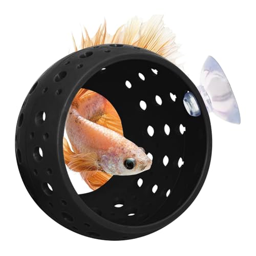 Koolenry Aquarium Fisch Versteck Aquarium Fisch Versteck Garnelenhöhle Aquarium Dekoration Fischbecken für Kleine Fische, Guppy Schwarz Koolenry Aquarium Fisch Versteck Aquarium Fisch Versteck Garnelenhöhle Aquarium Dekoration Fischbecken für Kleine Fische, Guppy Schwarz von Koolenry