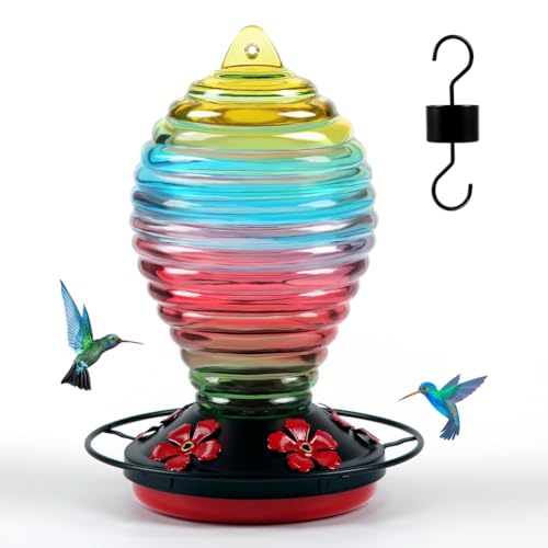 Koolenry Glas-Hummingbird-Futter Rainbow-Hummingbird-Futter für Den Außenbereich, Hängend, 29 Unzen, Niedliche Spiralförmige Flasche von Koolenry