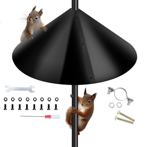 Koolenry Vogelhaus Eichhörnchen Schutz Eichhörnchen Abwehr für Vogelhaus Pfahl Abwehr für Vogelhaus Pfahl Koolenry Vogelhaus Eichhörnchen Schutz Eichhörnchen Abwehr für Vogelhaus Pfahl Abwehr für Vogelhaus Pfahl von Koolenry
