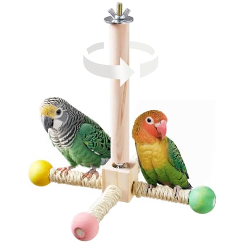 Koolenry Vogelständer-Sitzstangenspielzeug, Interaktives Sittichspielzeug, Papageienspielzeug Aus, Anreicherungsspielzeug für Nymphensittiche im Vogelkäfig Koolenry Vogelständer-Sitzstangenspielzeug, Interaktives Sittichspielzeug, Papageienspielzeug Aus, Anreicherungsspielzeug für Nymphensittiche im Vogelkäfig von Koolenry