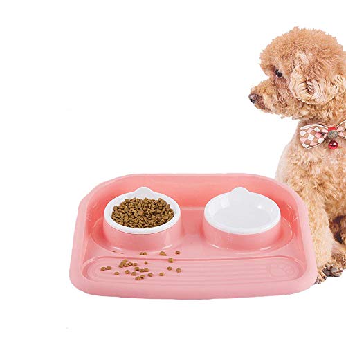 Koomiao Fressnapf Katze Hund Klein rutschfest Doppelter Futternapffür Katze Welpe Futter und Wass (Rosa) von Koomiao