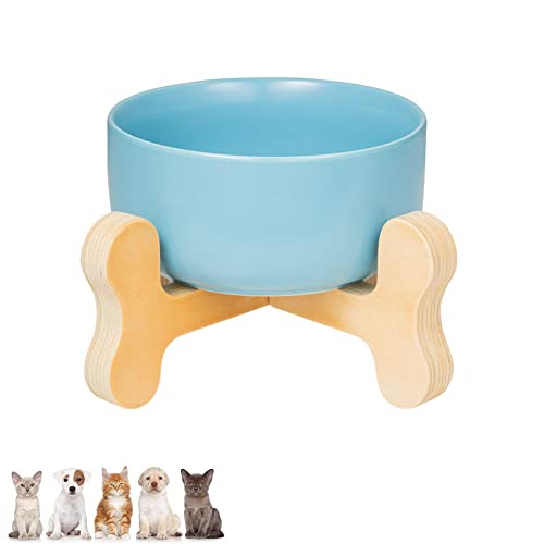 Koomiao Futternapf Katze mit Halter, Napf für Katzen und Hunde,Keramiknapf,Futterstation,Keramik Fressnapf Set,Fütterungsschalen für die meisten Katzen und kleine Hunde (Blau) von Koomiao