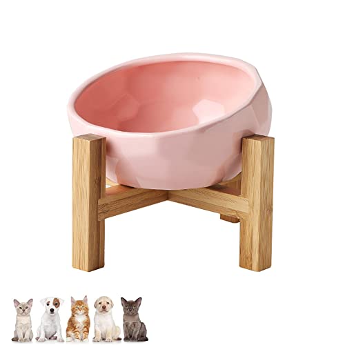 Koomiao Napf für Katzen und Hunde,Futternapf Katze mit Halter,15° Neigung Katzennapf für die meisten Katzen und kleine Hunde (Rosa) von Koomiao