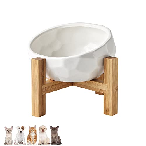 Koomiao Napf für Katzen und Hunde,Futternapf Katze mit Halter,15° Neigung Katzennapf für die meisten Katzen und kleine Hunde (Weiß) von Koomiao