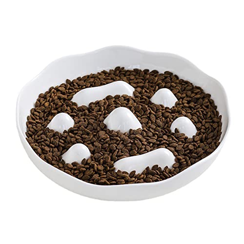 Koomuao Futternapf Schale für Katzen, Keramiknapf für langsames Fressen, Slow Feeder für Katzen, rutschfest, fördert eine gesunde Ernährung, geeignet für alle Arten von Katzen Koomuao Futternapf Schale für Katzen, Keramiknapf für langsames Fressen, Slow Feeder für Katzen, rutschfest, fördert eine gesunde Ernährung, geeignet für alle Arten von Katzen von Koomuao