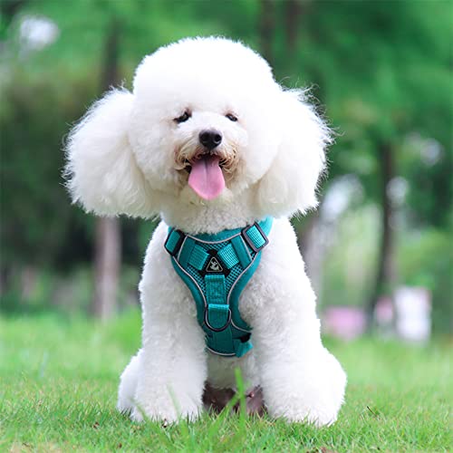 Koomuao Hundegeschirr, Zugentlastungsgeschirr für Hunde, verstellbar, Set aus Welpenweste und Leine, Geschirr, Jacke aus weichem Netzstoff, atmungsaktiv, für kleine und mittelgroße Hunde (Grün, M) Koomuao Hundegeschirr, Zugentlastungsgeschirr für Hunde, verstellbar, Set aus Welpenweste und Leine, Geschirr, Jacke aus weichem Netzstoff, atmungsaktiv, für kleine und mittelgroße Hunde (Grün, M) von Koomuao