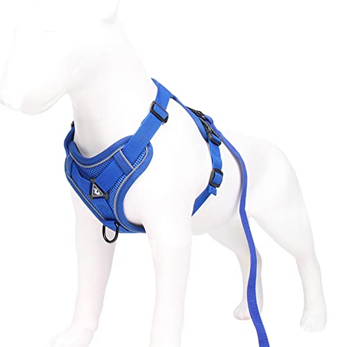 Koomuao Hundegeschirr Kleine Hunde mit Leine,Anti Zug Geschirr Reflektierend Brustgeschirr für Kleine Hunde, Haustiere, Welpen, Katzen (Blau, XL) von Koomuao