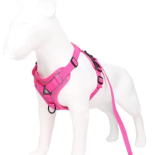 Koomuao Hundegeschirr Kleine Hunde mit Leine,Anti Zug Geschirr Reflektierend Brustgeschirr für Kleine Hunde, Haustiere, Welpen, Katzen (Rosa, XL) von Koomuao