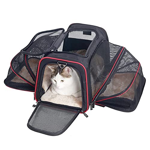 Koomuao Katzentransportbox faltbar,Tragetasche für Katze und Kleine Hunde Transporttasche,Katzentransportkäfig für Mitte Kleine Hunde Katzen (L(46x28x28) cm, Schwarz-1) von Koomuao