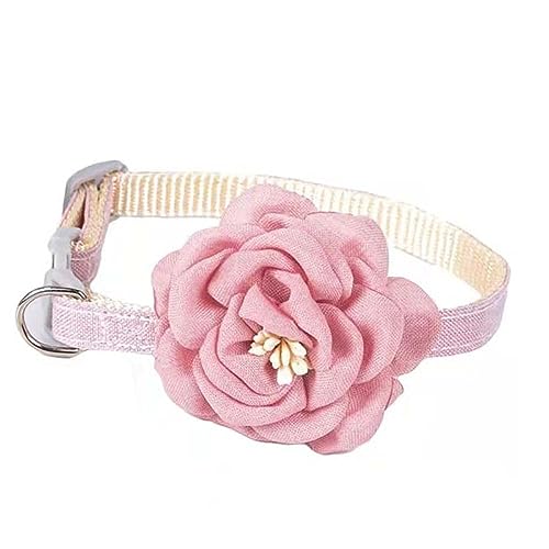 Halsband mit Fliege für Katzen und Hunde, modische Blume, Schleife, kleiner Hundehalsband, verstellbar, Katzen-Halskette mit Sicherheitsschnalle für Welpen und Katzen Halsband mit Fliege für Katzen und Hunde, modische Blume, Schleife, kleiner Hundehalsband, verstellbar, Katzen-Halskette mit Sicherheitsschnalle für Welpen und Katzen von Kopida