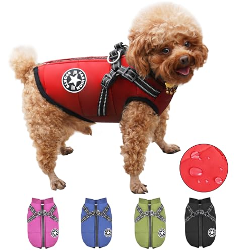 Hundemantel Wasserdicht mit Geschirr, Warme Winter Hundemantel, Hund Wintermantel für Kleine Mittel Große Hunde, Hundejacke Chihuahua Labrador Französische Bulldogge Hundemantel Wasserdicht mit Geschirr, Warme Winter Hundemantel, Hund Wintermantel für Kleine Mittel Große Hunde, Hundejacke Chihuahua Labrador Französische Bulldogge von RarSSA