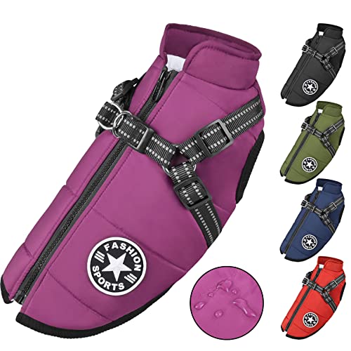 Hundemantel Wasserdicht mit Geschirr, Warme Winter Hundemantel, Hund Wintermantel für Kleine Mittel Große Hunde, Hundejacke Chihuahua Labrador Französische Bulldogge Hundemantel Wasserdicht mit Geschirr, Warme Winter Hundemantel, Hund Wintermantel für Kleine Mittel Große Hunde, Hundejacke Chihuahua Labrador Französische Bulldogge von KorJoee