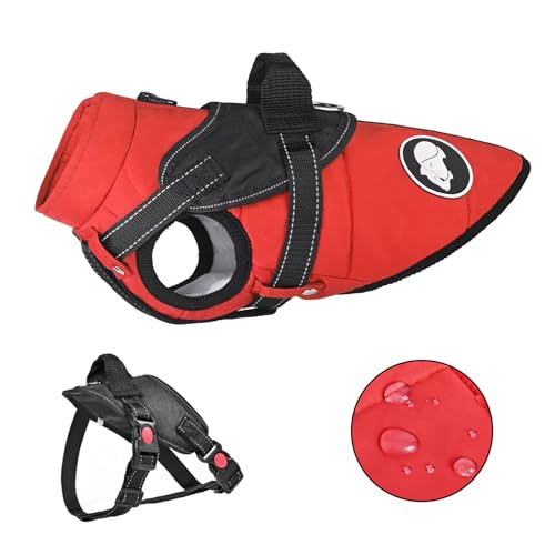 wasserdichte Hundemantel mit Abnehmbarem Geschirr, Winter Warme Hundejacke für Kleine und Mittlere Große Hunde, Reflektierende Winterhundkleidung für Teddy Chihuahua Bulldogge Labrador wasserdichte Hundemantel mit Abnehmbarem Geschirr, Winter Warme Hundejacke für Kleine und Mittlere Große Hunde, Reflektierende Winterhundkleidung für Teddy Chihuahua Bulldogge Labrador von KorJoee