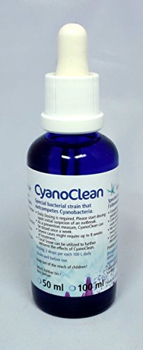 Korallenzucht.de Cyanoclean, 1er Pack (1 x 10 ml) von Korallenzucht.de