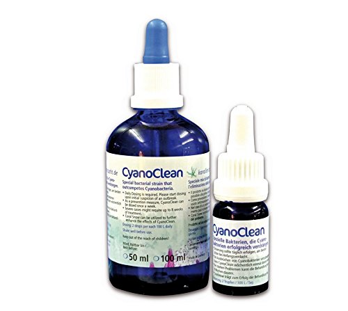 Korallenzucht.de Cyanoclean, 1er Pack (1 x 100 ml) von Korallenzucht.de