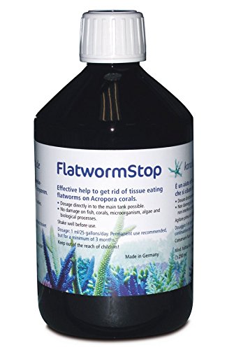 Korallenzucht.de Flatwormstop, 1er Pack (1 x 500 ml) von Korallenzucht.de